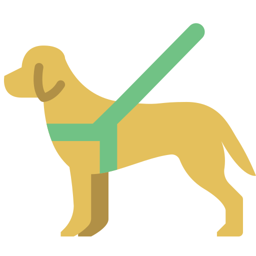 Chien guide info